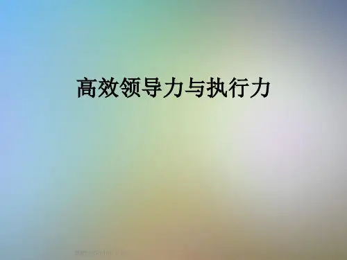 高效领导力与执行力