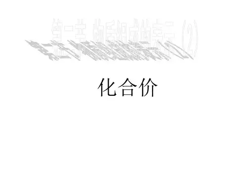 鲁教版九年级上册化学 4.2 物质组成的表示 课件 (共23张PPT)