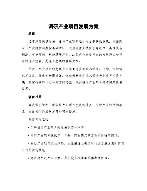 调研产业项目发展方案