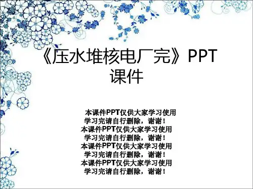 《压水堆核电厂完》PPT课件
