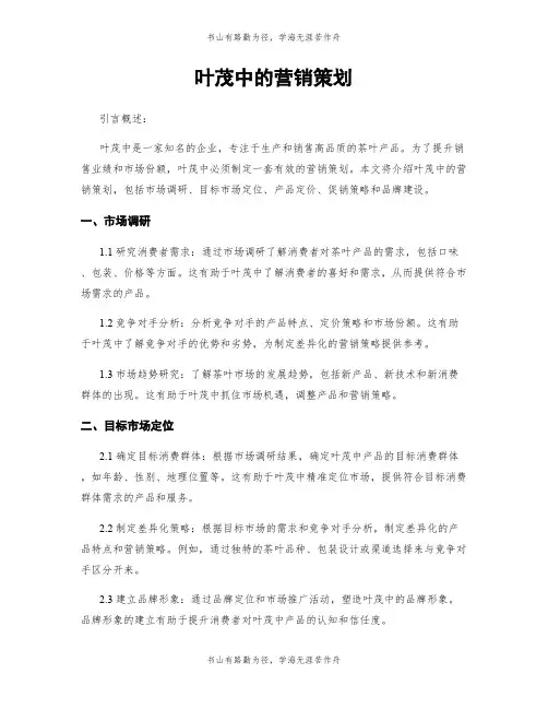 叶茂中的营销策划