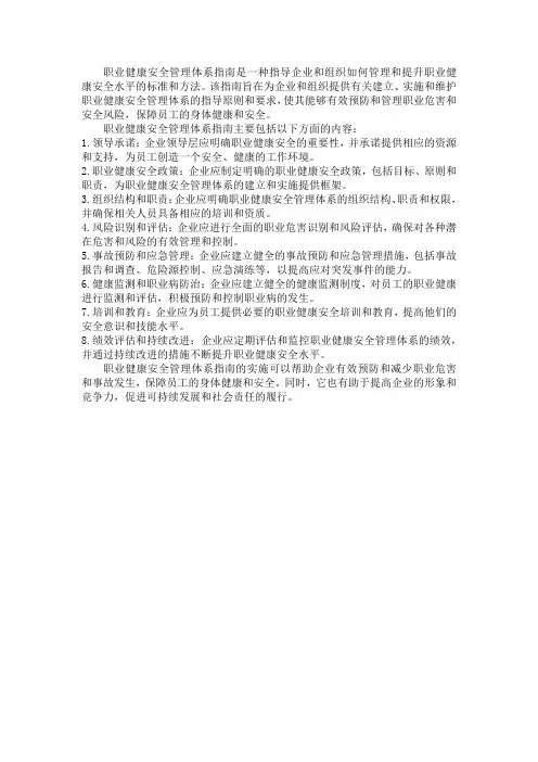 职业健康安全管理体系指南
