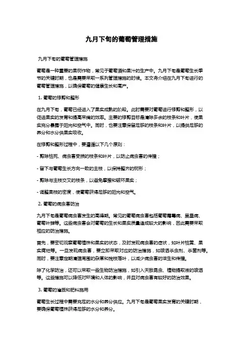 九月下旬的葡萄管理措施