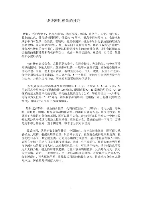 谈谈滩钓梭鱼的技巧