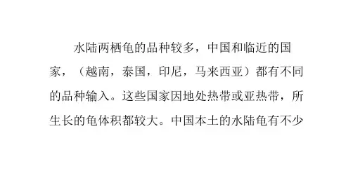 饲养水陆两栖龟朋友必看常识