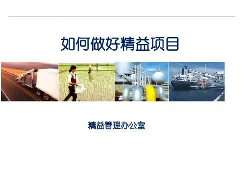 如何做好精益项目