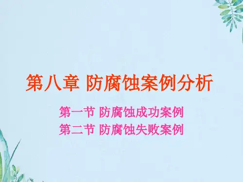 防腐蚀典型的案例分析1