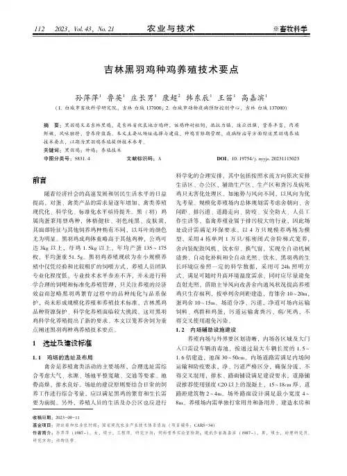 吉林黑羽鸡种鸡养殖技术要点