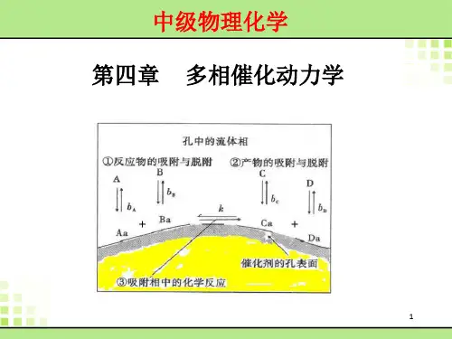 《多相催化动力学》PPT课件