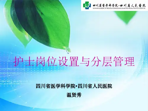 护士岗位设置与分层管理PPT课件