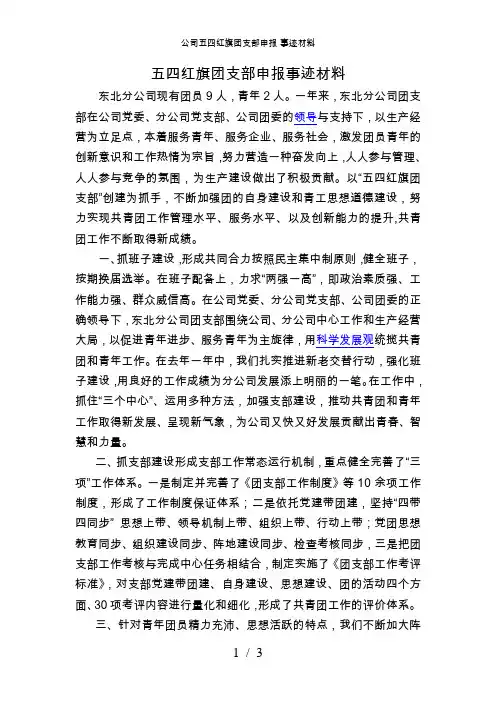 公司五四红旗团支部申报事迹材料