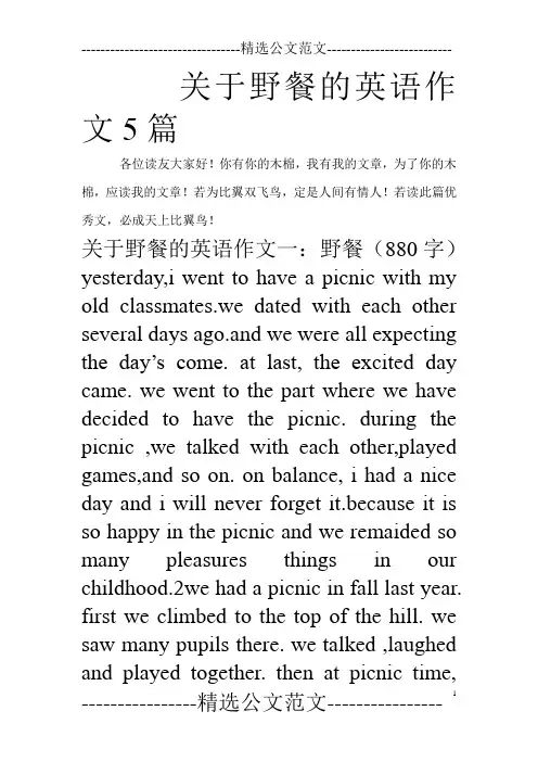 关于野餐的英语作文5篇