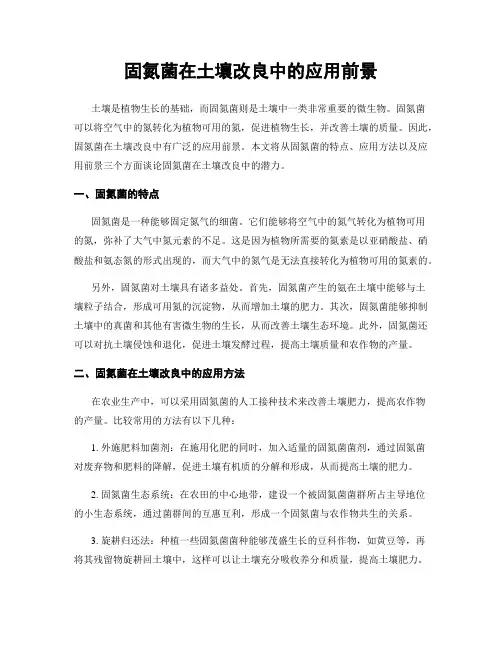 固氮菌在土壤改良中的应用前景