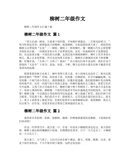 柳树二年级作文