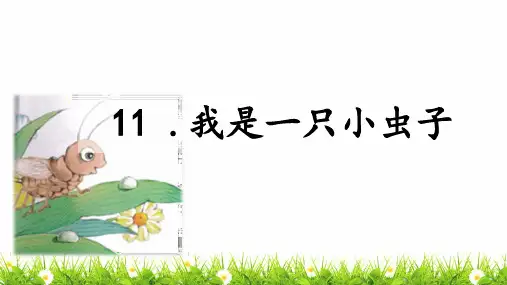 最新部编人教版小学二年级语文下册《我是一只·小虫子》精品教学课件
