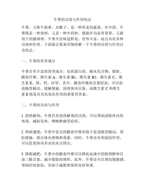 牛蒡的功效与作用吃法