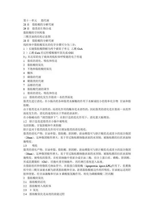 第十一单元脂代谢 脂肪酸的分解代谢