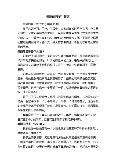 美丽的君子兰作文（通用33篇）