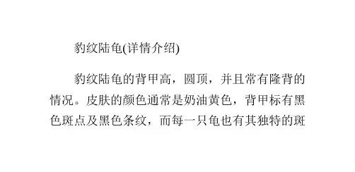 豹纹陆龟的形态特征
