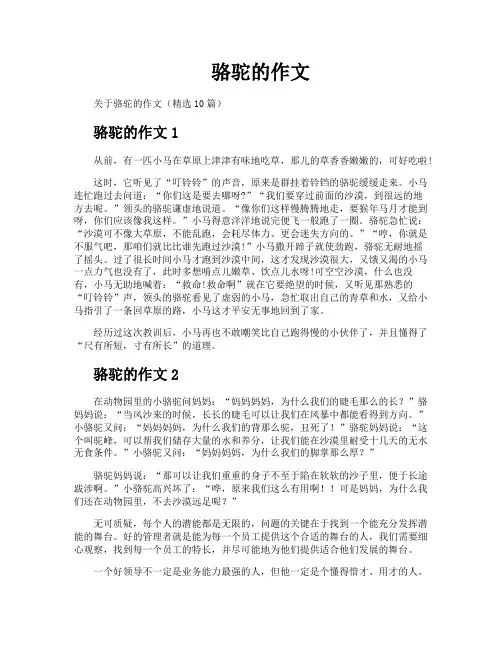 骆驼的作文