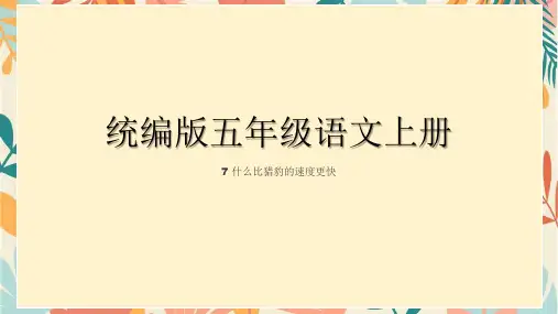 统编版五年级语文上册7什么比猎豹的速度更快课件(共22张PPT)