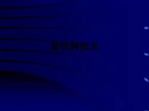 腺性膀胱炎ppt课件