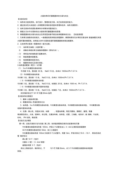 大肠埃希氏杆菌噬菌体的分离与纯化