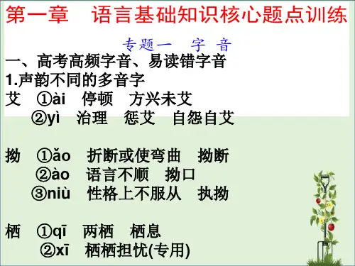(鳌江中学)2023年高考语文一轮复习字音配套课件概要