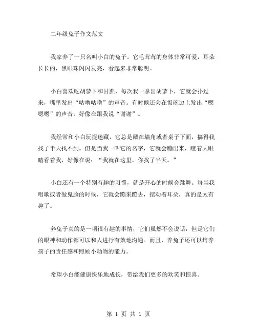 二年级兔子作文范文