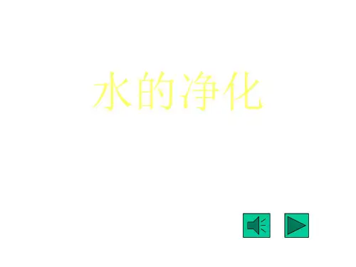 九年级化学水的净化-