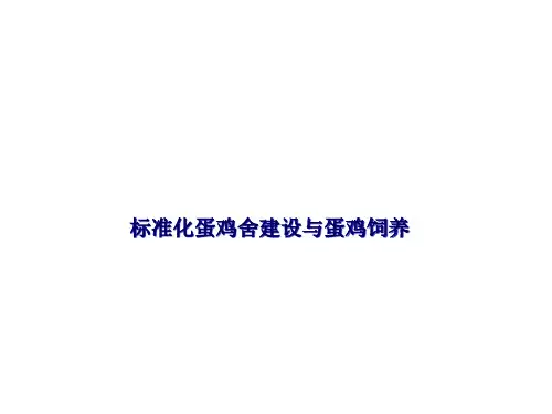 标准化蛋鸡舍建设与蛋鸡饲养