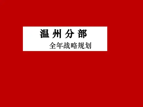 温州国美电器年度战略规划(35页)PPT课件