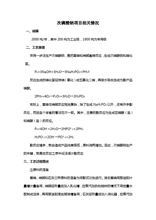 次磷酸钠项目相关情况