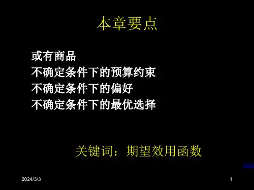 中级微观经济学课件不确定性