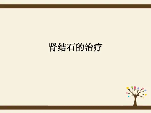 肾结石的治疗ppt课件