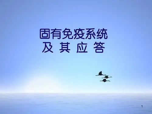 固有免疫系统及其应答