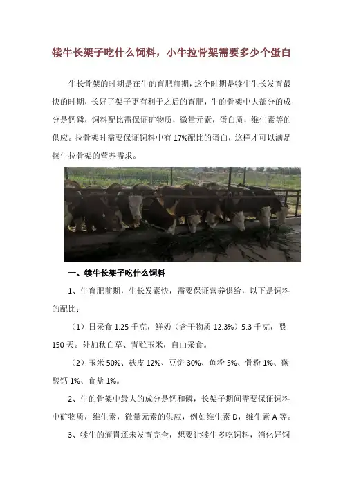 犊牛长架子吃什么饲料,小牛拉骨架需要多少个蛋白