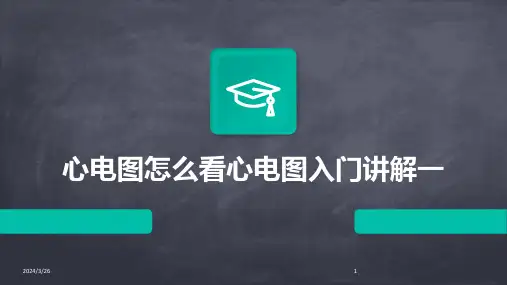 (2024年)心电图怎么看心电图入门讲解一