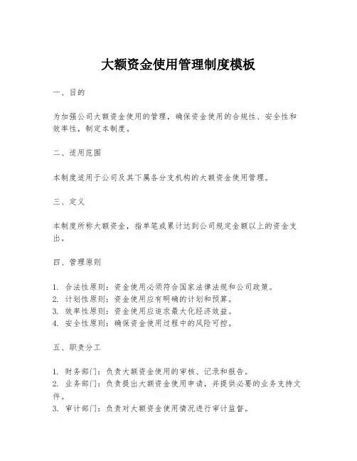 大额资金使用管理制度模板