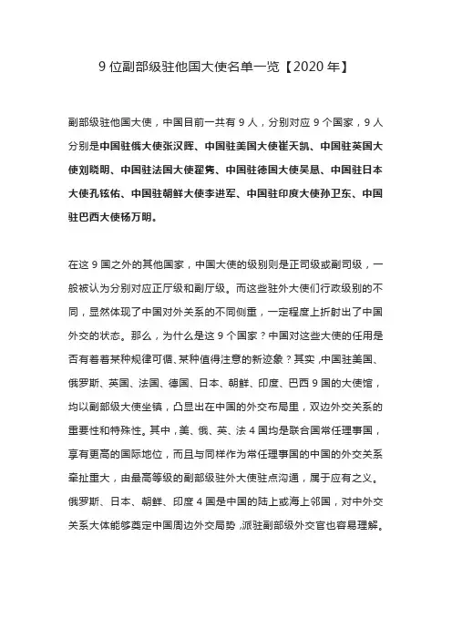 九位副部级大使