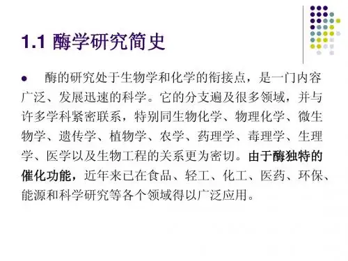 酶学绪论
