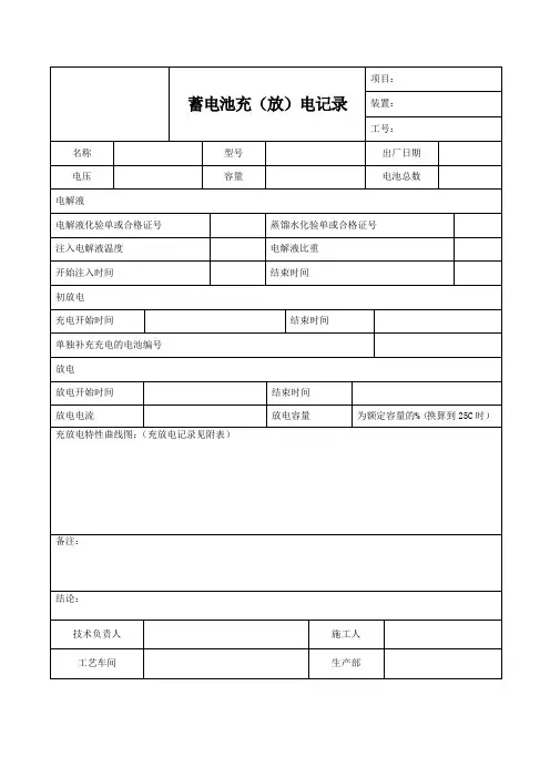 蓄电池充放电记录(Word)