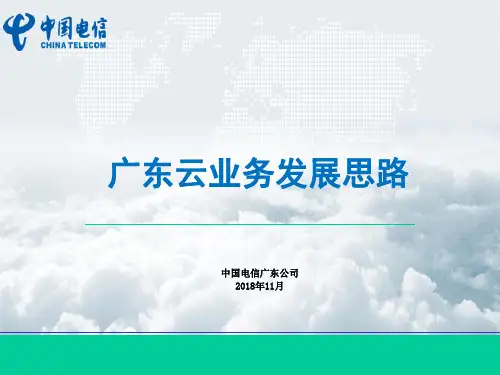 广东电信云业务发展思路