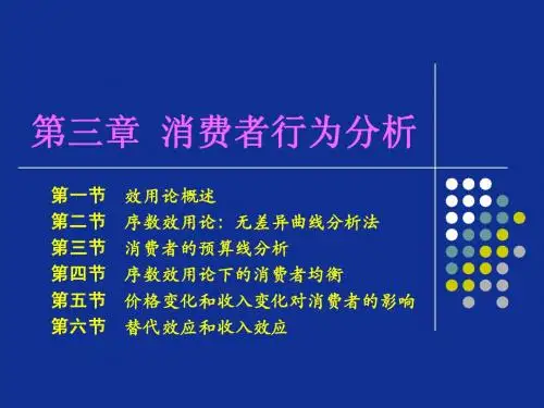 第三章  消费者行为分析