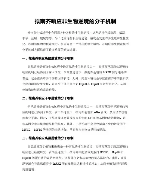 拟南芥响应非生物逆境的分子机制