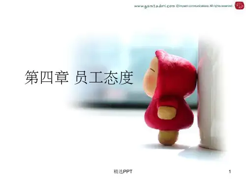 《员工态度》PPT课件