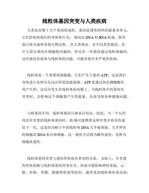 线粒体基因突变与人类疾病