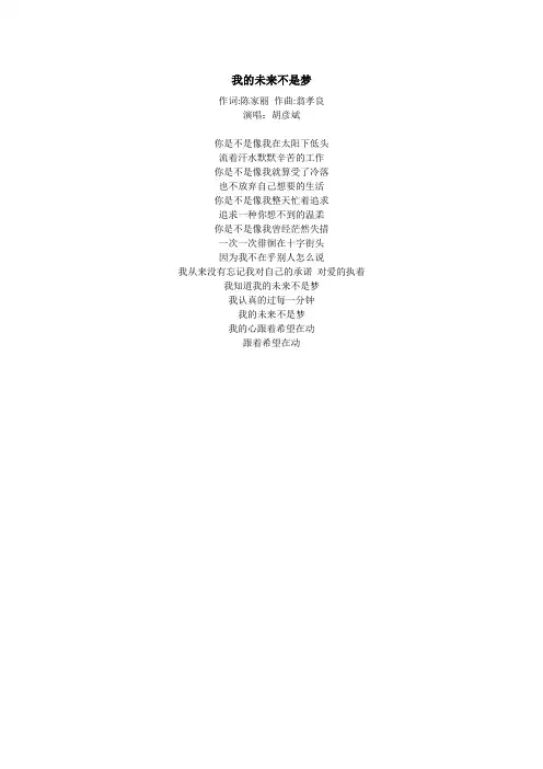 《我的未来不是梦》歌词