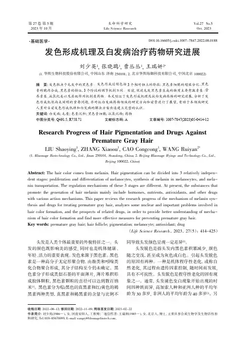 发色形成机理及白发病治疗药物研究进展