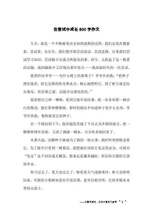 在尝试中成长800字作文